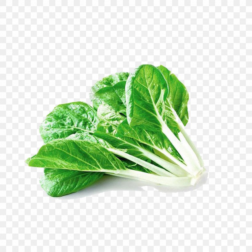 China Chinese Cabbage Bok Choy Vegetable, PNG, 2953x2953px, China, Blood, Blood Vessel, Bok Choy, Brassica Download Free