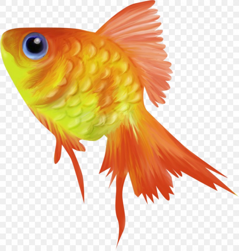 Goldfish Animation Clip Art, PNG, 976x1024px, Goldfish, Animation, Beak, Bony Fish, Cartoon Download Free