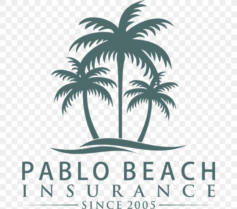 Pablo Beach Insurance Group Home Insurance General Insurance Health Insurance, PNG, 875x775px, Insurance, Arecales, Artwork, Black And White, Brand Download Free