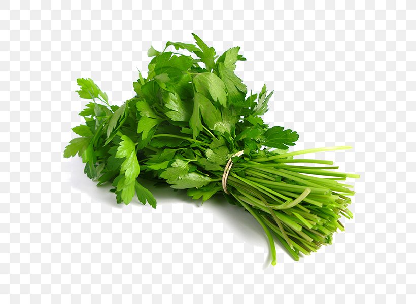 Coriander Indian Cuisine Thai Cuisine Herb Leaf Vegetable, PNG, 600x600px, Coriander, Celery, Cooking, Curry, Curry Tree Download Free