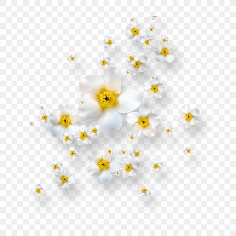 Flower Image Vector Graphics Clip Art, PNG, 1500x1500px, Flower, Camomile, Chamomile, Flower Bouquet, Green Download Free