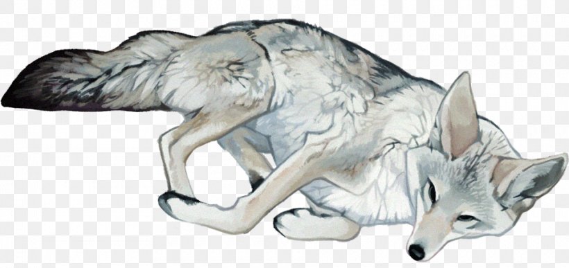 Gray Wolf Coyote Digital Art Illustration, PNG, 960x454px, Watercolor, Cartoon, Flower, Frame, Heart Download Free