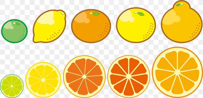 Lemon Satsuma Mandarin Fruit Food Orange, PNG, 2394x1154px, Lemon, Bitter Orange, Citreae, Citric Acid, Citrus Download Free