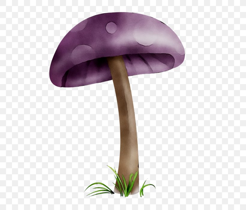 Product Design Purple Flower, PNG, 607x699px, Purple, Agaricaceae, Botany, Edible Mushroom, Flower Download Free