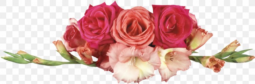 Child Woman Mawlid Garden Roses, PNG, 1500x494px, Child, Bud, Cut Flowers, Floral Design, Floristry Download Free