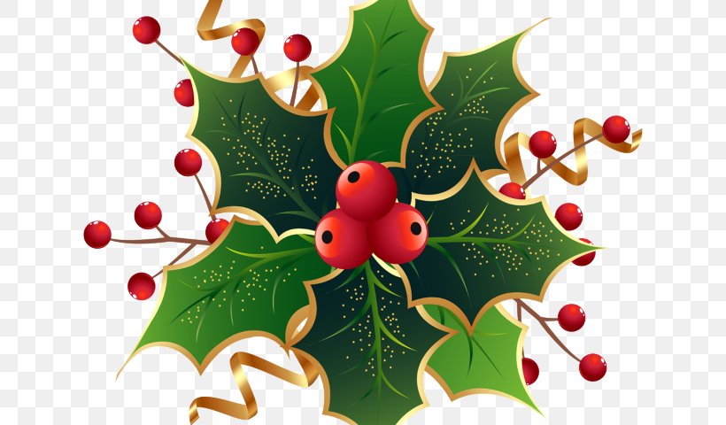 Christmas Decoration Cartoon, PNG, 640x480px, Common Holly, American Holly, Chinese Hawthorn, Christmas, Christmas Day Download Free