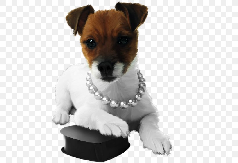 Jack Russell Terrier Parson Russell Terrier Miniature Fox Terrier Puppy Dog Breed, PNG, 560x560px, Jack Russell Terrier, Backpack, Bag, Breed, Carnivoran Download Free
