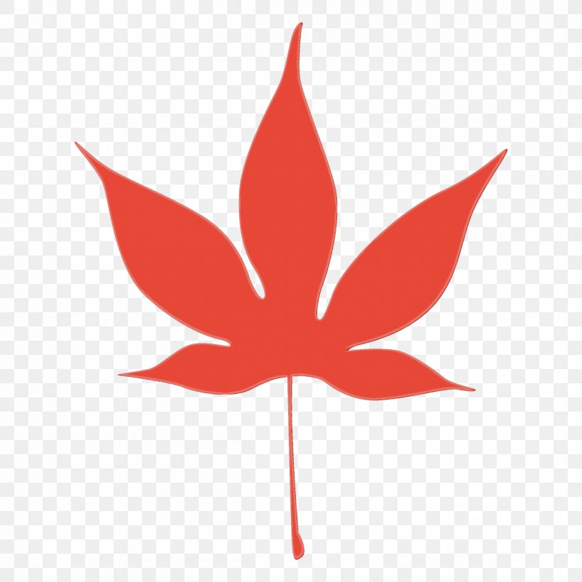 Maple Leaf, PNG, 1200x1200px, Watercolor, Leaf, Maple, Maple Leaf, Paint Download Free