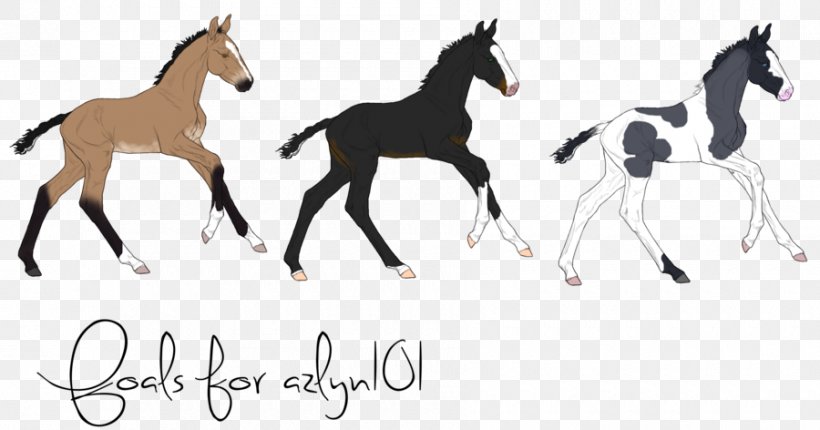 Mustang Foal Stallion Colt Bridle, PNG, 900x472px, Mustang, Animal Figure, Bridle, Colt, English Riding Download Free