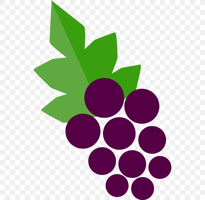 Wine List Grape Liquor Wine Cellar, PNG, 552x800px, Wine, Alcoholic Beverages, Food, Fruit, Grape Download Free