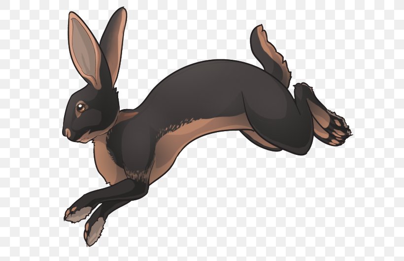 Domestic Rabbit Hare Dog Canidae, PNG, 656x529px, Domestic Rabbit, Animal, Animated Cartoon, Canidae, Dog Download Free