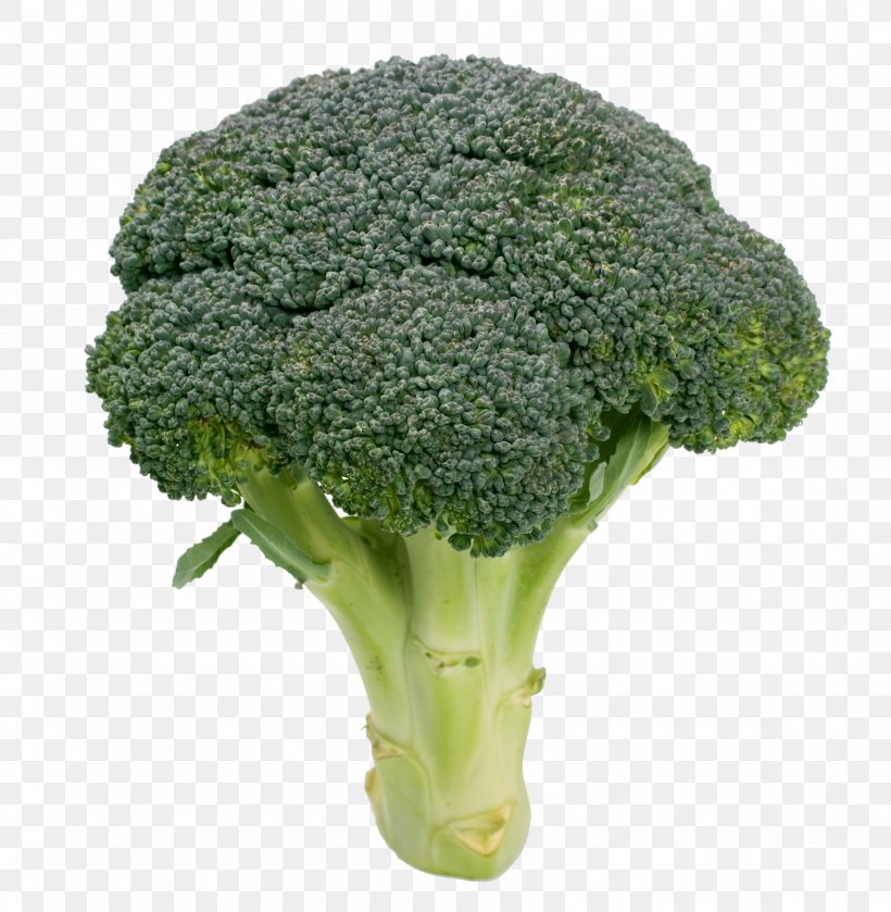 Broccoli Cauliflower Kale Vegetable Variety, PNG, 1993x2040px, Broccoli, Brassica Oleracea, Broccoli Sprouts, Cauliflower, Collard Greens Download Free