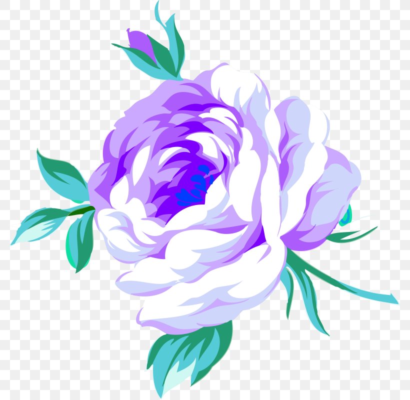 Cabbage Rose Peony Clip Art, PNG, 785x800px, Cabbage Rose, Color, Cut Flowers, Floral Design, Floristry Download Free