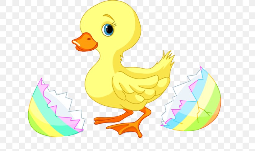 Duck Easter Clip Art, PNG, 639x486px, Duck, Animal Figure, Beak, Bird, Chicken Download Free