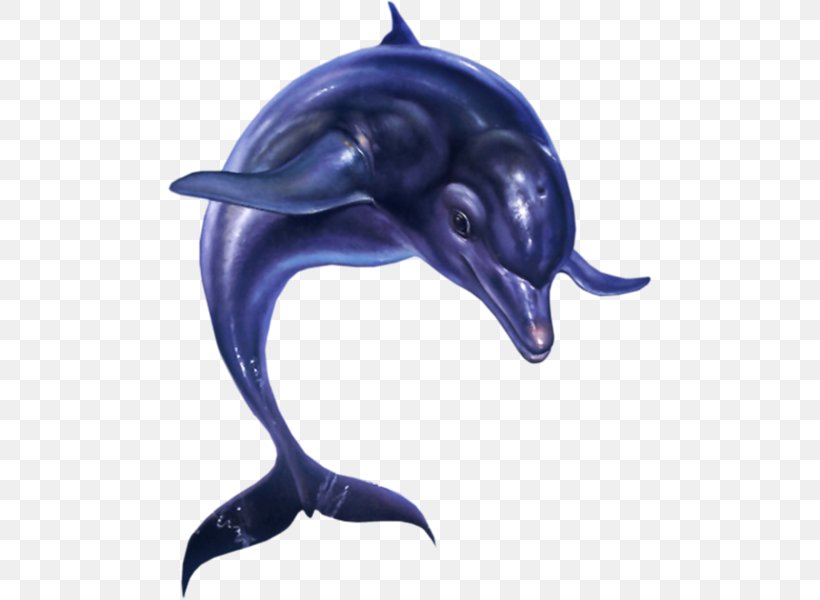 Ecco The Dolphin: Defender Of The Future Ecco: The Tides Of Time Streets Of Rage 2 Sega 3D Classics Collection, PNG, 485x600px, Ecco The Dolphin, Animation, Beak, Common Bottlenose Dolphin, Dolphin Download Free