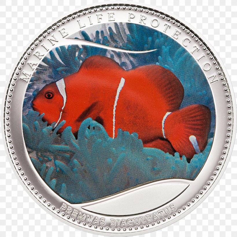 Coin Palau Silver Clownfish Metal, PNG, 912x912px, Coin, Advers, Cit Coin Invest Ag, Clownfish, Cobalt Blue Download Free