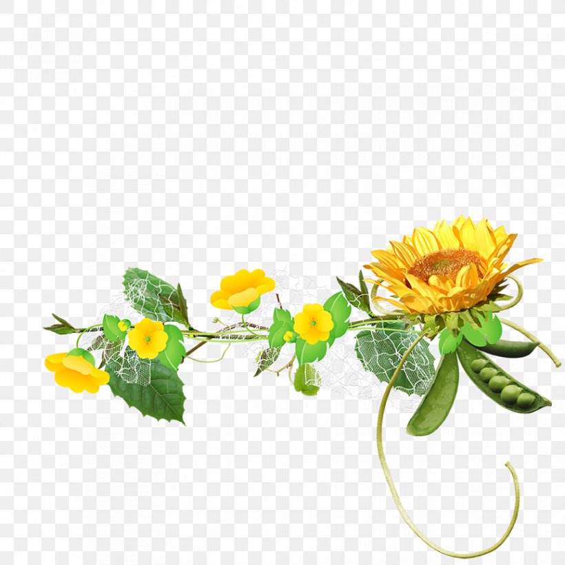 Common Sunflower Euclidean Vector Clip Art, PNG, 864x864px, Common Sunflower, Art, Chrysanths, Cut Flowers, Daisy Download Free