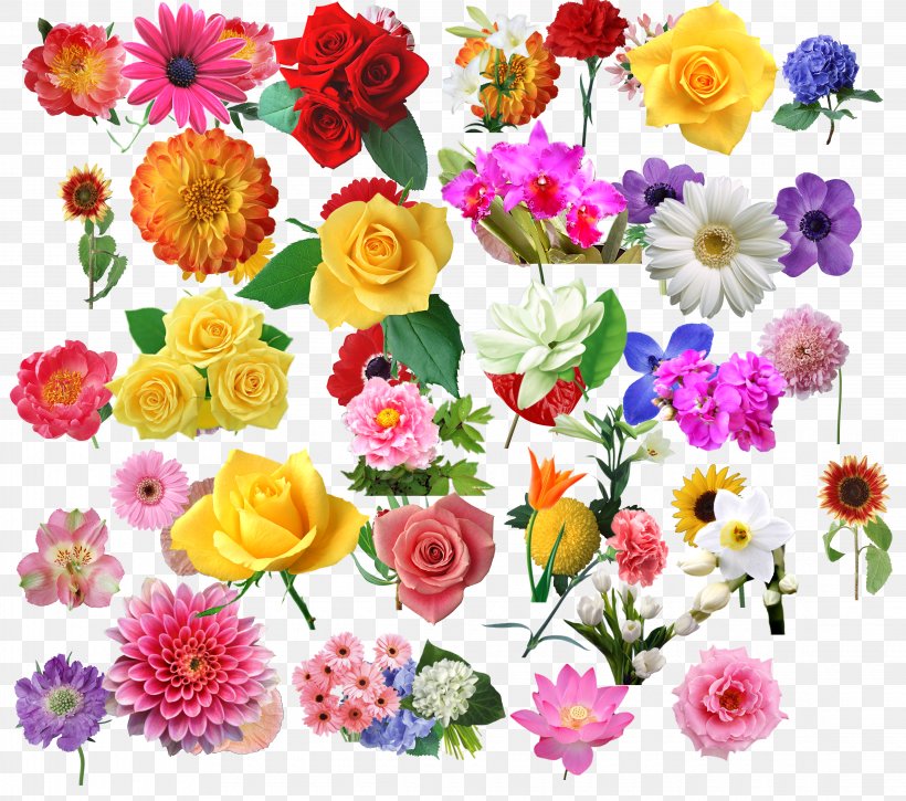 Download Illustration, PNG, 4480x3966px, Poster, Advertising, Annual Plant, Artificial Flower, Chrysanths Download Free