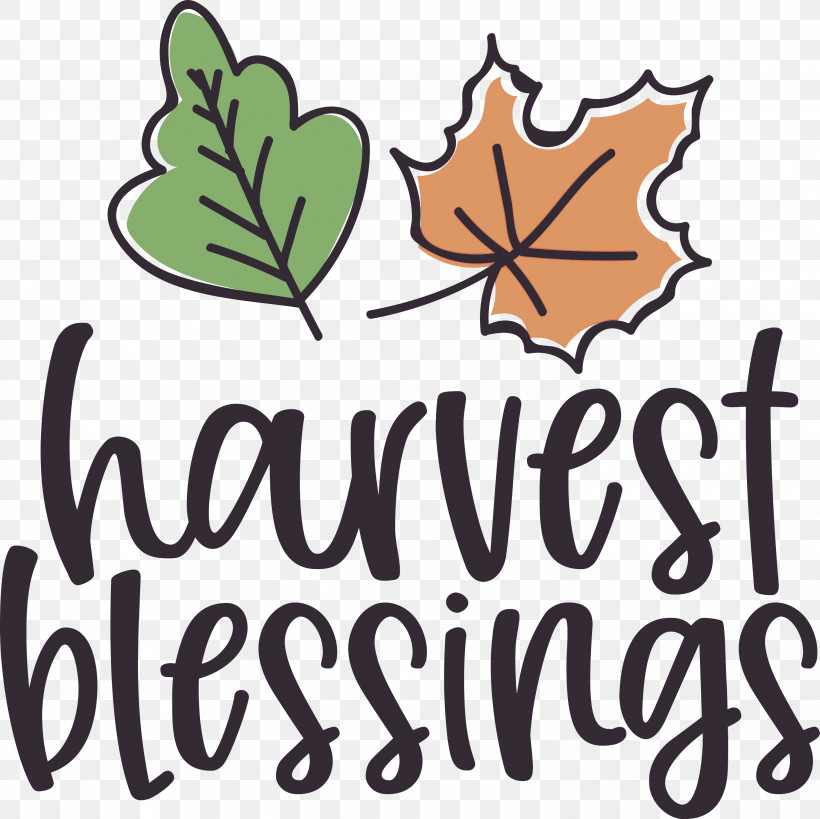 Harvest Thanksgiving Autumn, PNG, 3000x2998px, Harvest, Autumn, Biology, Flower, Fruit Download Free
