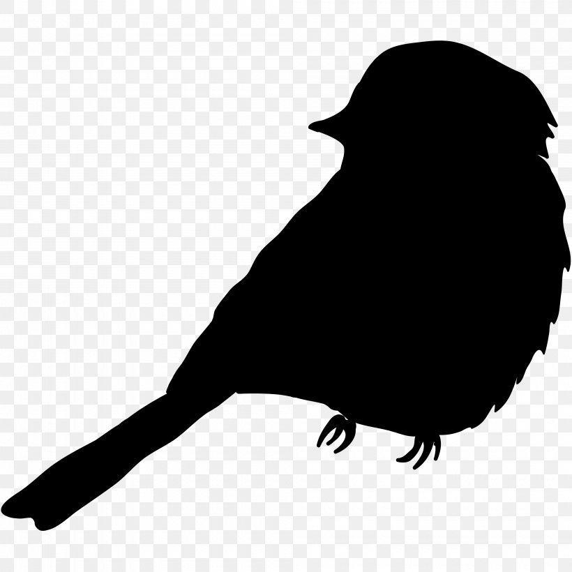 House Sparrow Bird Finches Common Raven, PNG, 4000x4000px, House Sparrow, Animal, Beak, Bird, Blackandwhite Download Free