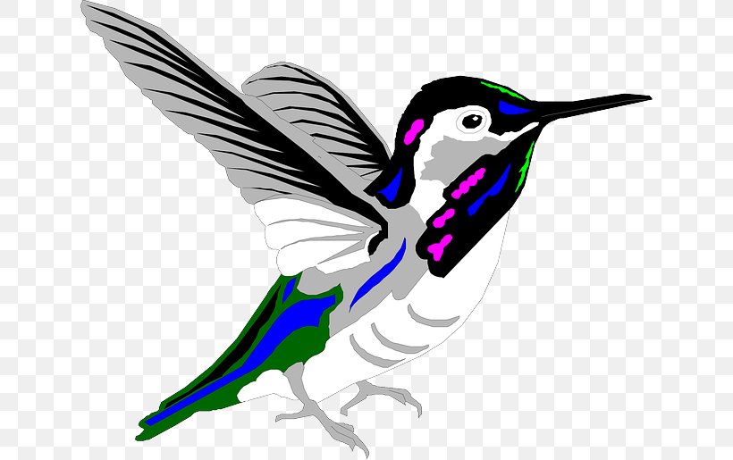 Hummingbird Animation Violetear, PNG, 640x515px, Hummingbird, Animation, Art, Artwork, Beak Download Free