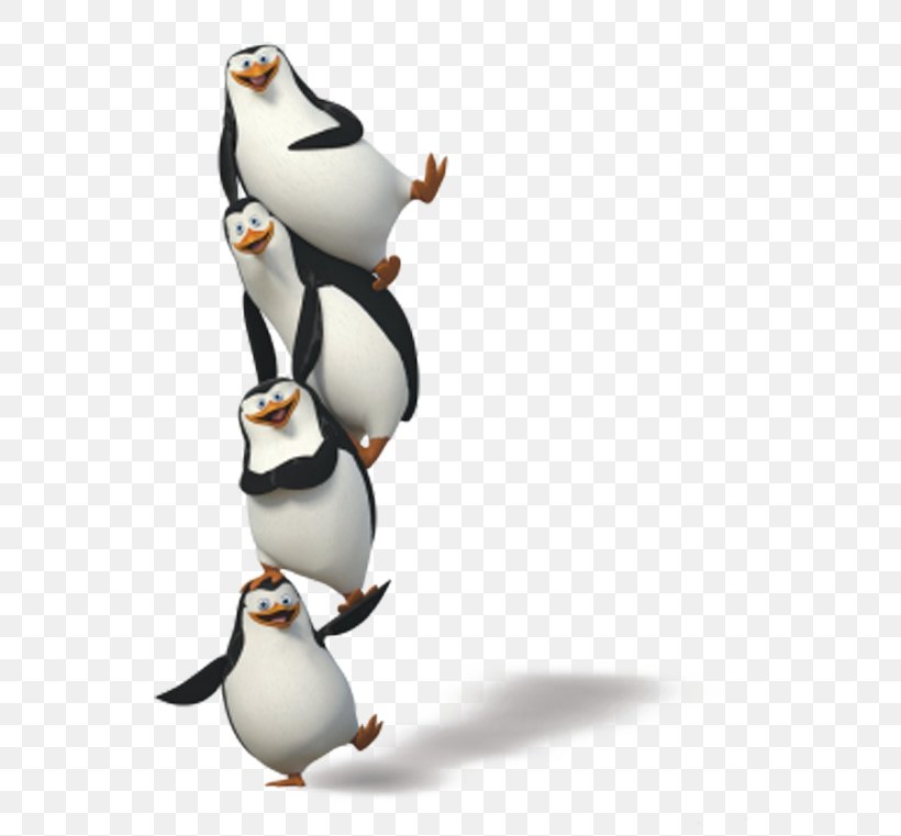 Penguin Madagascar Film Animation, PNG, 600x761px, Kowalski, Animation,  Beak, Bird, Dreamworks Animation Download Free