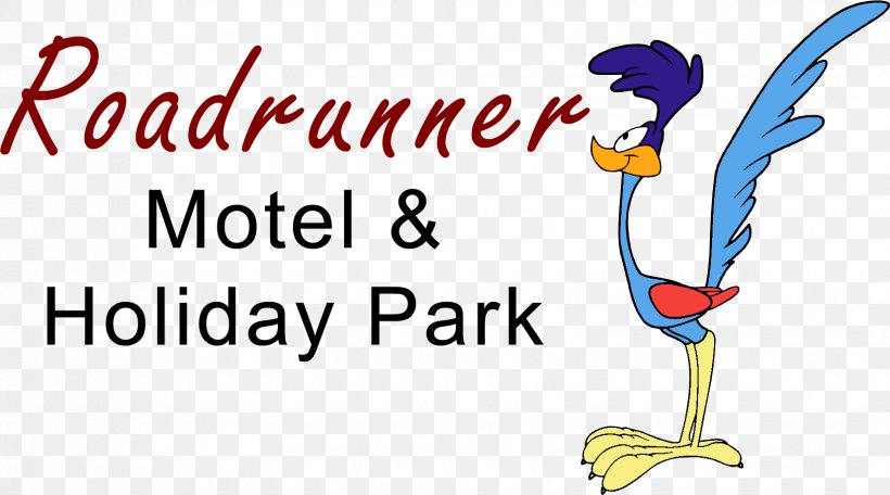 Roadrunner Motel & Holiday Park Hamilton Hotel Rosetown Motel, PNG, 1650x919px, Hamilton, Accommodation, Art, Artwork, Beak Download Free