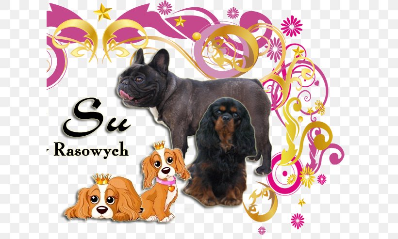 Cavalier King Charles Spaniel French Bulldog Puppy, PNG, 628x493px, Cavalier King Charles Spaniel, Ancient Dog Breeds, Breed, Bulldog, Bulldog Breeds Download Free