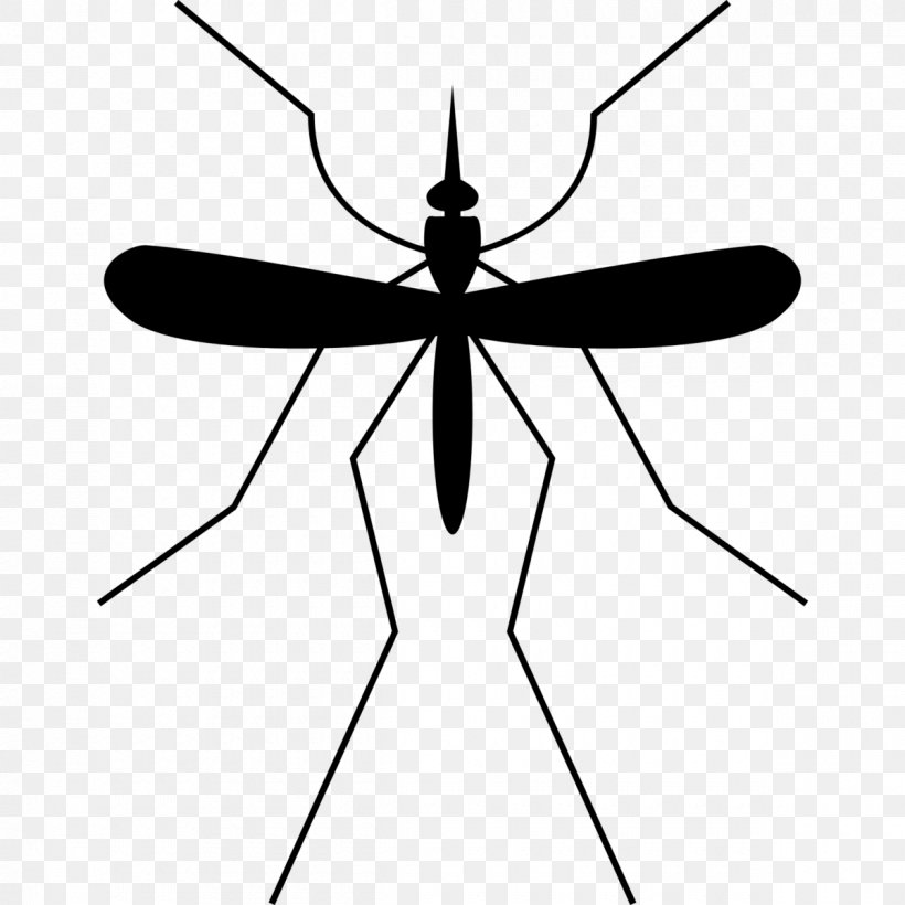 Mosquito Insect Gnat Clip Art, PNG, 1200x1200px, Mosquito, Arthropod, Artwork, Black And White, Fly Download Free