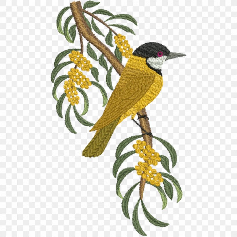 Parrot Machine Embroidery Bird, PNG, 1000x1000px, Parrot, Art, Beak, Bird, Branch Download Free