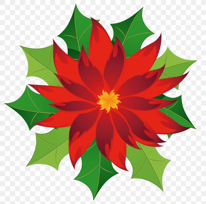 Poinsettia Clip Art, PNG, 1807x1788px, Poinsettia, Christmas, Dahlia, Flora, Floral Design Download Free