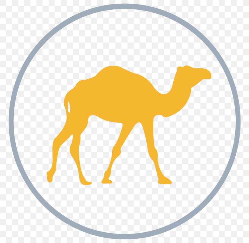 Vector Graphics Dromedary Bactrian Camel Illustration Clip Art, PNG, 800x800px, Dromedary, Area, Bactrian Camel, Camel, Camel Like Mammal Download Free
