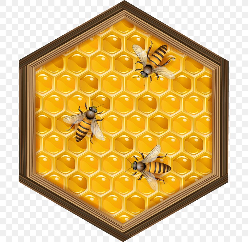 Beehive Honeycomb, PNG, 693x800px, Bee, Beehive, Brood, Carniolan Honey Bee, Colony Collapse Disorder Download Free