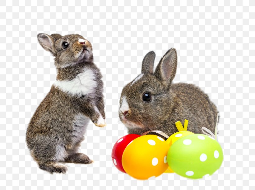 Easter Bunny Chicken Rabbit Easter Egg, PNG, 753x613px, Easter Bunny, Chicken, Domestic Rabbit, Easter, Easter Customs Download Free