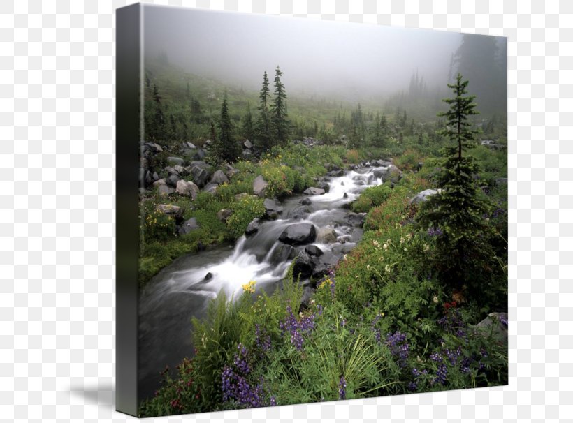 Mount Rainier Water Resources Nature Reserve Gallery Wrap Waterfall, PNG, 650x606px, Mount Rainier, Art, Biome, Canvas, Creek Download Free