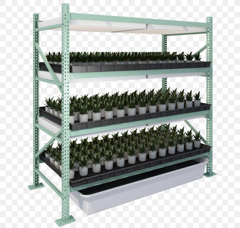 Shelf Cannabis Cultivation Cloning Aeroponics, PNG, 685x777px, Shelf, Aeroponics, Cannabis, Cannabis Cultivation, Cloning Download Free