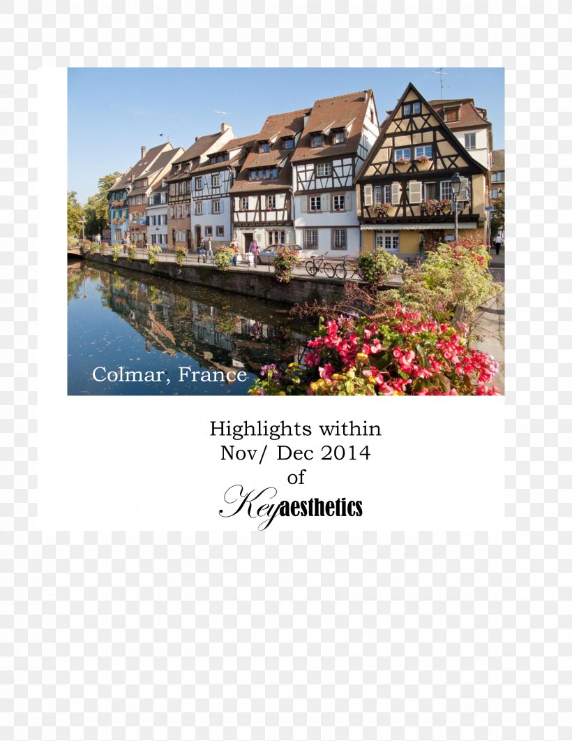 Strasbourg Germany Travel Excursion Tourism, PNG, 2550x3300px, Strasbourg, Accommodation, Advertising, Alsace, Colmar Download Free