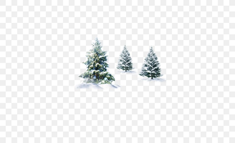 Pine Spruce Fir Cedar, PNG, 500x500px, Pine, Cedar, Christmas, Christmas Decoration, Christmas Ornament Download Free