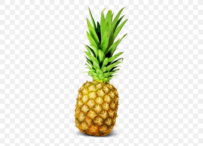 Pineapple Bun Frappxe9 Coffee Fruit, PNG, 591x591px, Pineapple, Ananas, Auglis, Bromeliaceae, Food Download Free