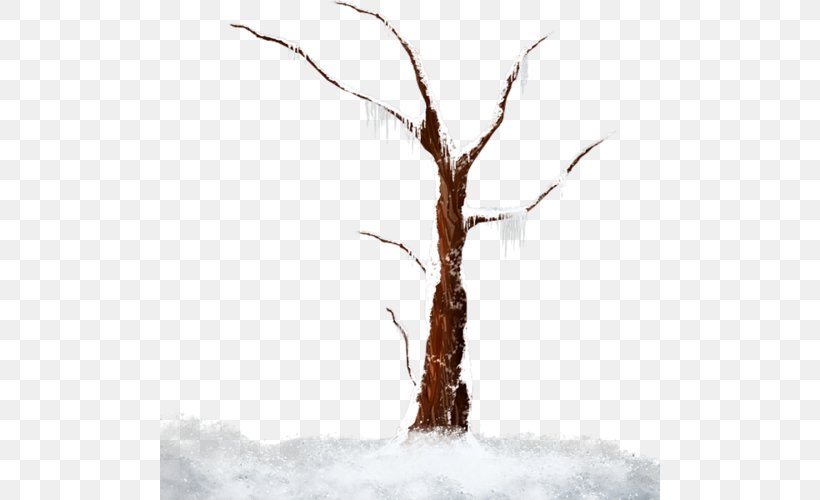 Tree, PNG, 500x500px, Tree, Branch, Comparazione Di File Grafici, Digital Image, Dry Tree Download Free