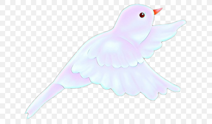 Feather, PNG, 640x480px, White, Beak, Bird, Feather, Pigeons And Doves Download Free