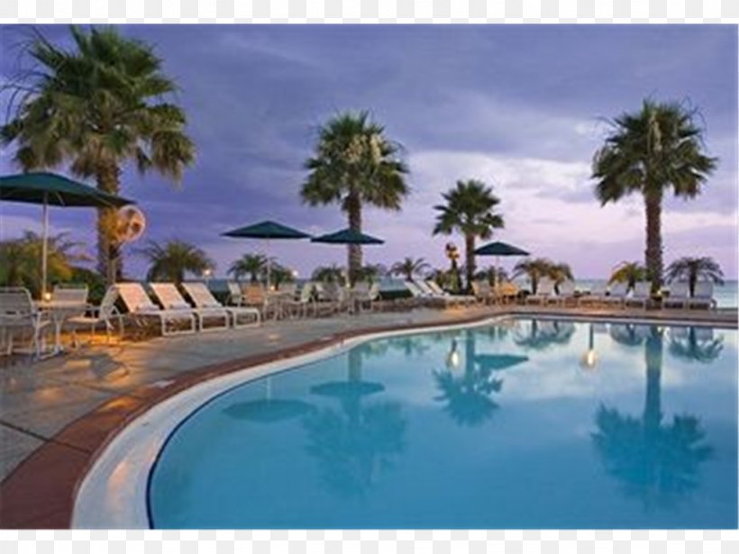 Grand Hyatt Tampa Bay Hyatt Place Tampa/Busch Gardens Resort, PNG, 1024x768px, Grand Hyatt Tampa Bay, Arecales, Beach, Caribbean, Estate Download Free