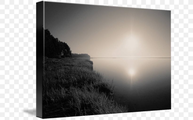 Work Of Art Canvas Print, PNG, 650x513px, Work Of Art, Art, Art Museum, Artcom, Black And White Download Free