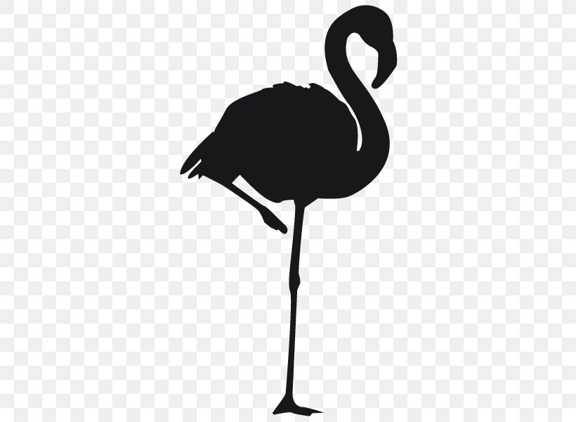 Bird Greater Flamingo Clip Art, PNG, 600x600px, Bird, Beak, Black And White, Crane Like Bird, Ducks Geese And Swans Download Free