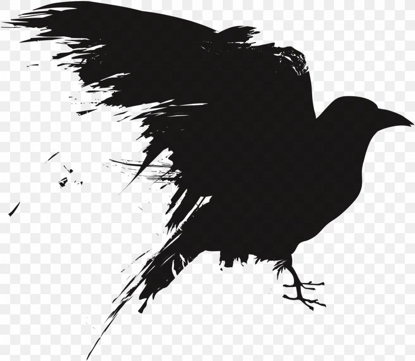 Crow Royalty-free Photography Drawing, PNG, 1550x1346px, Crow, American Crow, Beak, Bird, Black And White Download Free