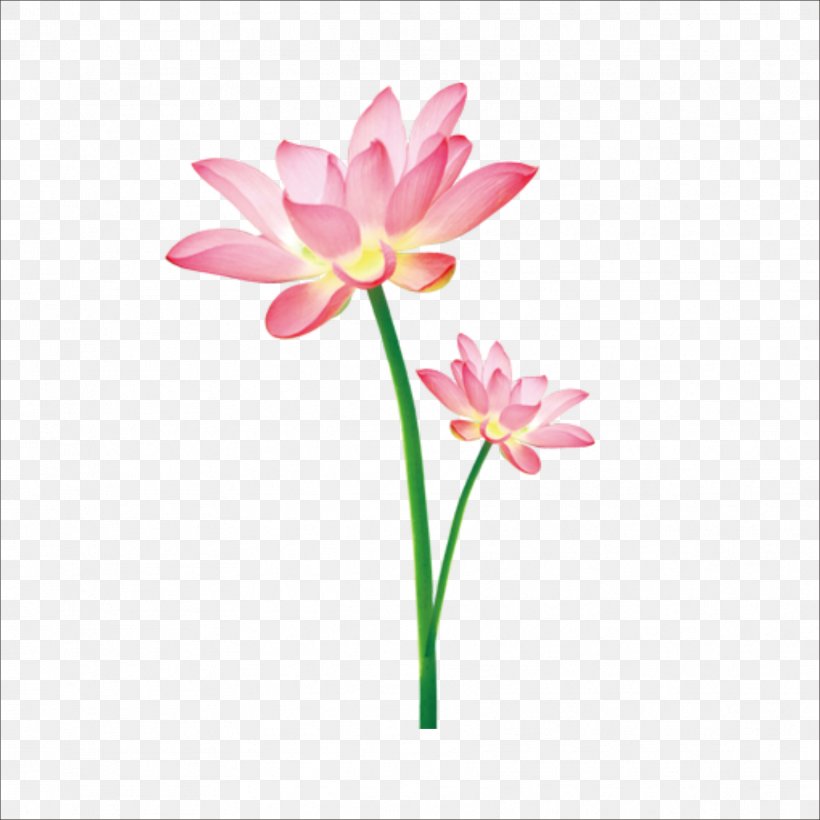Download Icon, PNG, 1773x1773px, Pixel, Aquatic Plant, Cut Flowers, Dahlia, Editing Download Free