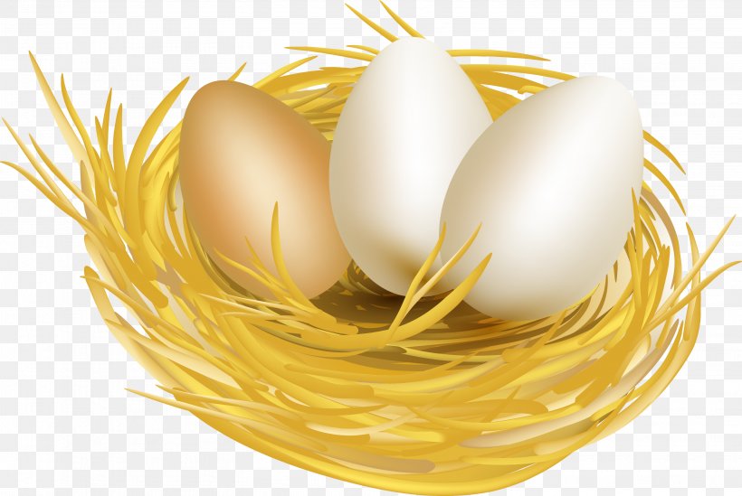 Egg White Chicken Easter Egg, PNG, 3114x2086px, Egg, Bird Nest, Chicken, Chicken Egg, Chicken Meat Download Free
