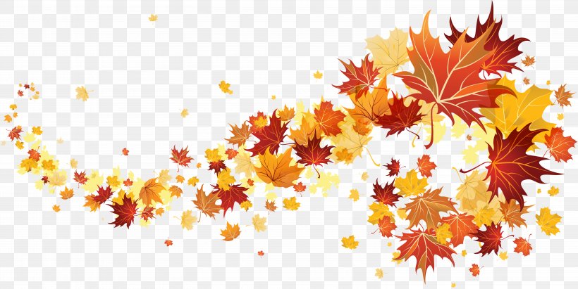 Autumn Clip Art, PNG, 6041x3029px, Autumn, Autumn Leaf Color, Branch, Flowering Plant, Leaf Download Free