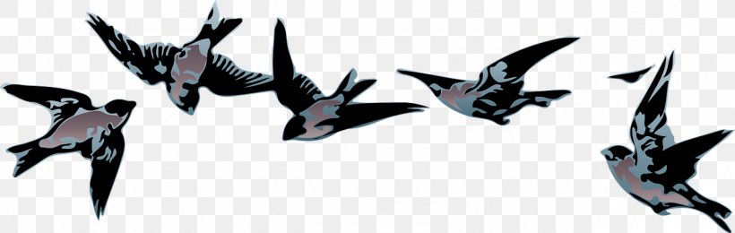 Bird Rock Dove Sparrow Feather Beak, PNG, 1280x407px, Bird, Animal, Animal Figure, Beak, Black And White Download Free