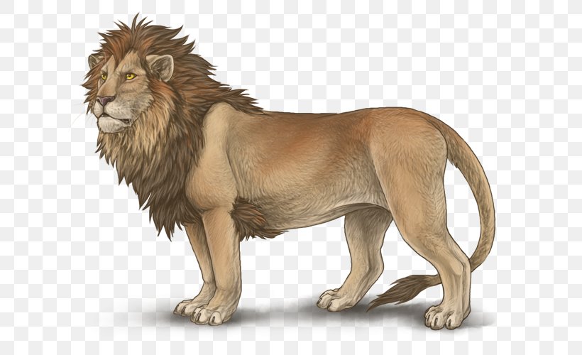 Lion Mutation Leopon Mane Hybrid, PNG, 640x500px, Lion, Big Cats, Carnivoran, Cat Like Mammal, Color Download Free